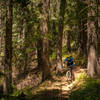 Riding down the top section of Trail 290