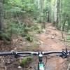 Loamy singletrack