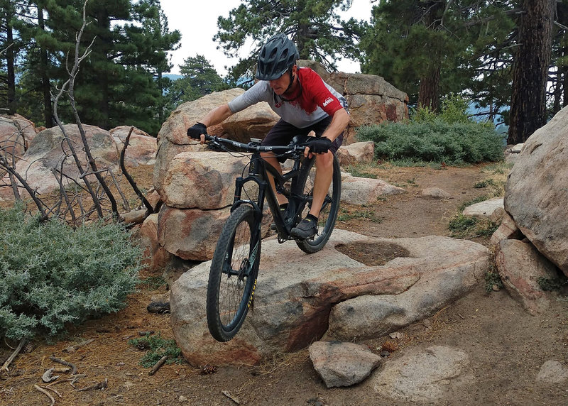 Lots of roll-off/huck options on Gray's Peak trail.