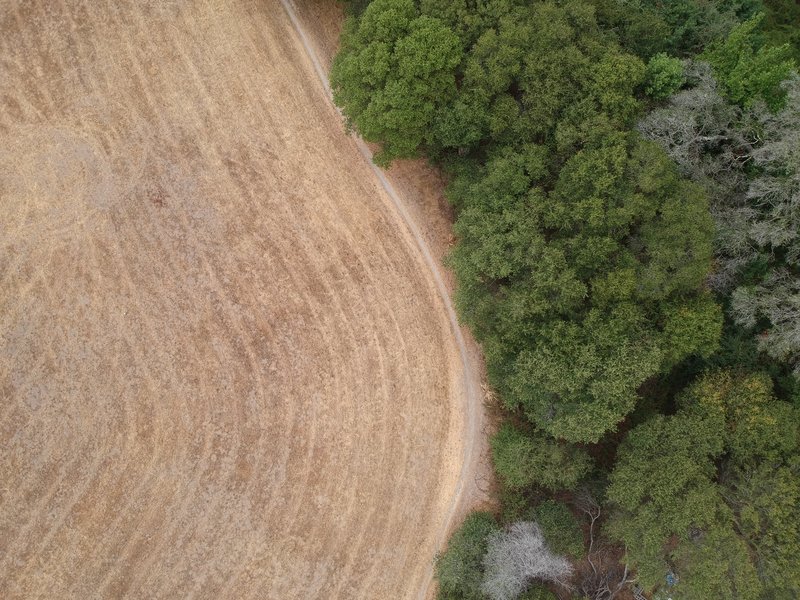 Ariel view of the Anna Jean Loop Trail as it bends around the field.