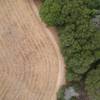 Ariel view of the Anna Jean Loop Trail as it bends around the field.