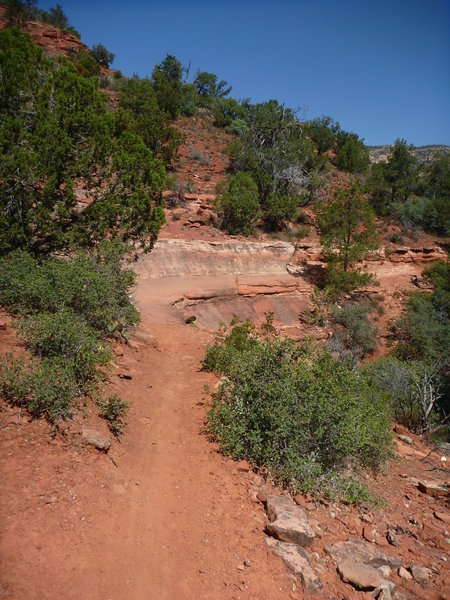 View of the banked rock ledge