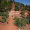 View of the banked rock ledge