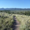 Great views and interesting vegetation to someone from the Southeast