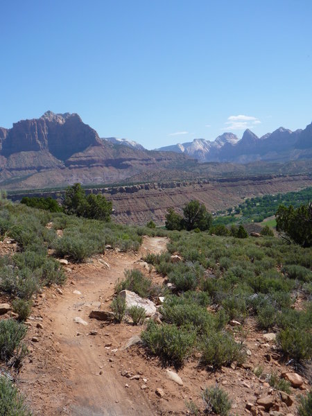 That's Zion in the far background with Angel's Landing to the left of the pointy peak