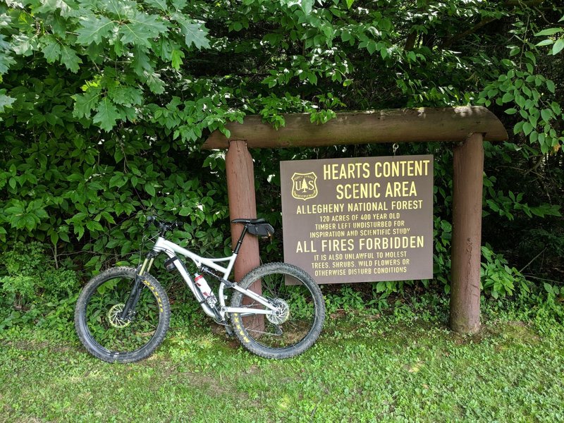 Hearts Content Scenic Area. Water is available at this picnic area.