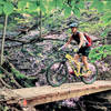 Bridge deep in the Yellowwood Forest