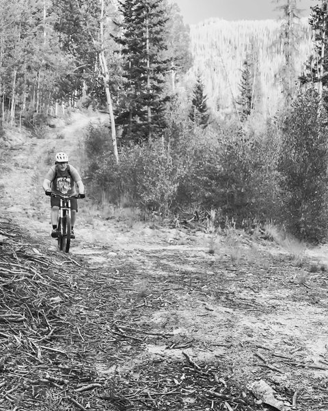 Slumgullion Pass, Lake City Colorado.