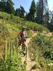 Bogus basin best sale mountain biking