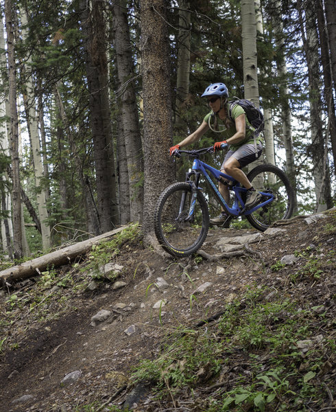 rocks and roots will challenge you on a climb of cross mountain trail