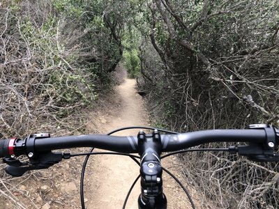 Fun area of the trail. Some of this is overgrown a bit.
