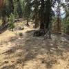 A rock next to the trail makes a nice bike stand just below the an un-rideable steps section.