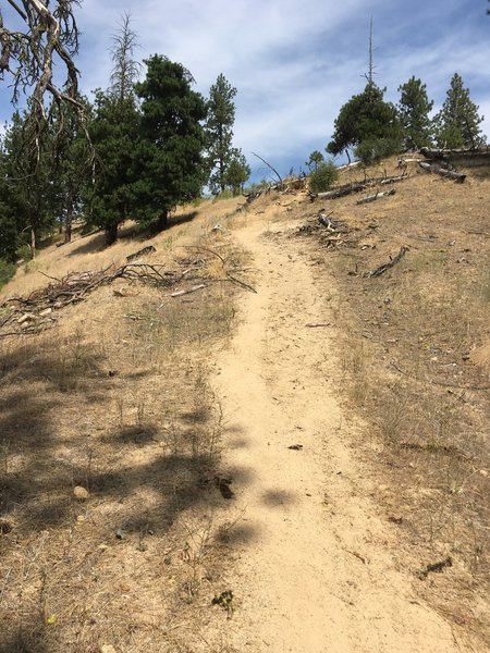 Looking up toward the wooden step section.  Most will not want to ride beyond here.