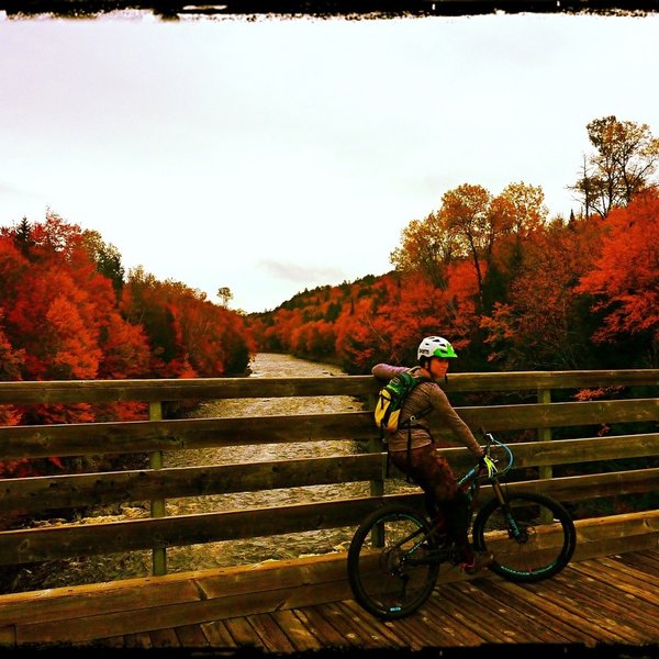 Jack Rabbit bridge