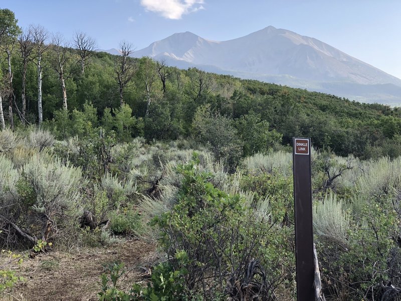 Start of Dinkle Link trail at intersection with Next Jen, Mount Sopris views abound when heading in this direction.