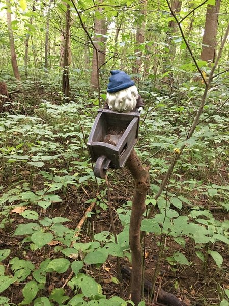 Trolls on trail how many can you find