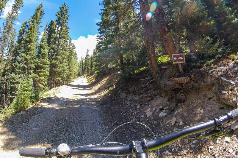 Third climb along Bull of the Woods road