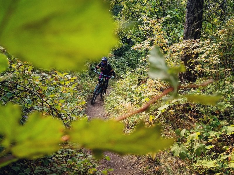 Fast and flowy singletrack in upper Caribou