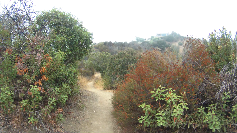 Nice flow on the Betty Dearing trail