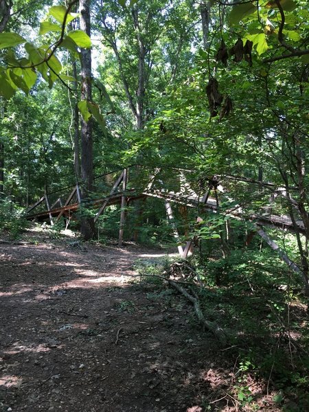 Bridge over Ester’s trail