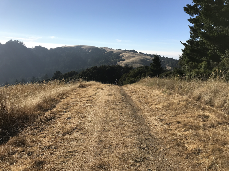 Looking Northwest towards the steep part of the trail that is something you would prefer to go down than up!