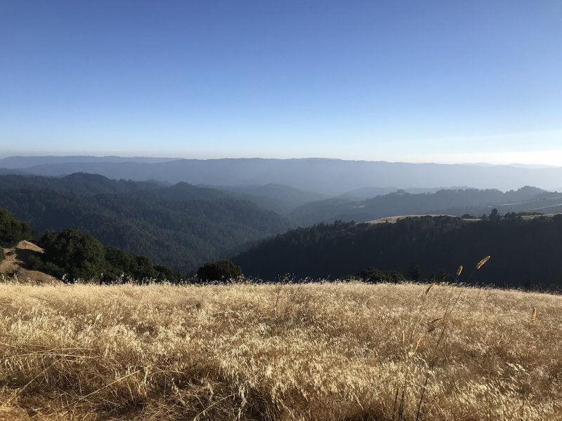 One of the views looking south towards the ocean