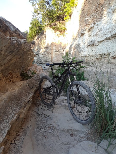 The Gnar-Wall Trail along the banks Walnut Creek!