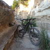 The Gnar-Wall Trail along the banks Walnut Creek!