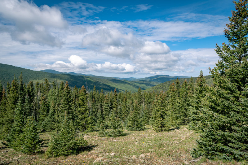 View from the first big clearing