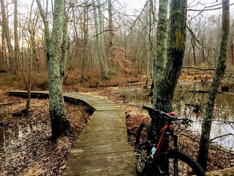 Boardwalk on Wetland Trail. Good place to stop and listen for birds.