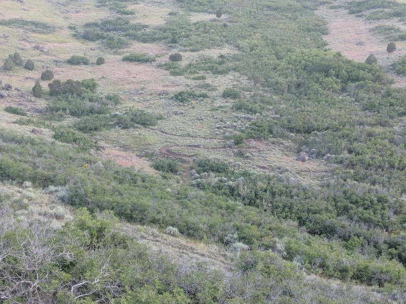 Blackridge trail switchbacks view from above