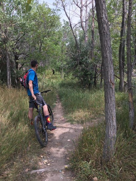 Cherry Creek Res. Cherry Creek trail.