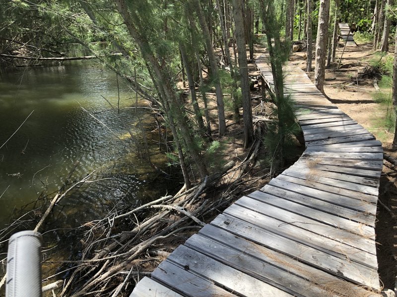 The Boardwalk