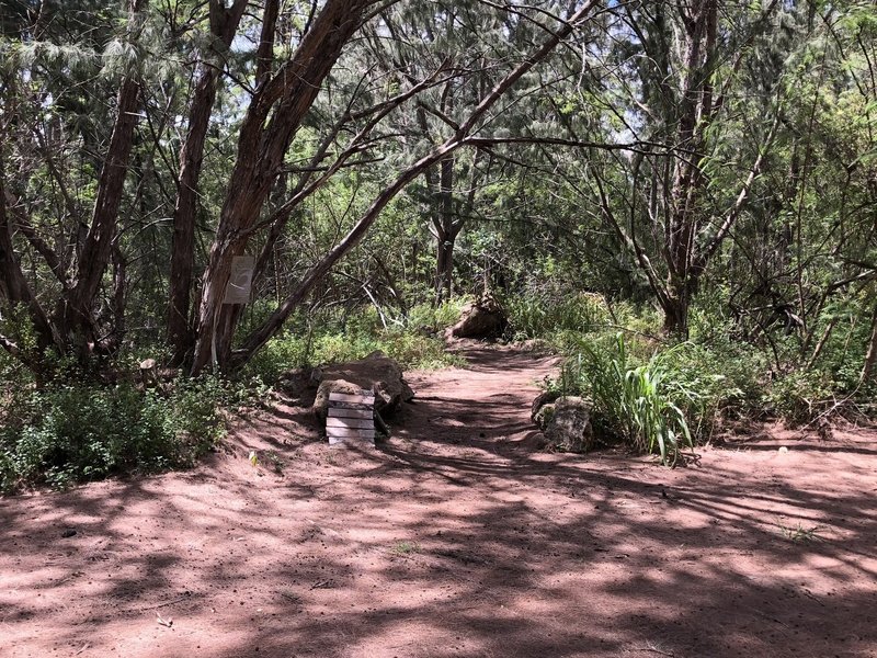 Entrance to Tree Tables Trail with tricky rock ramp