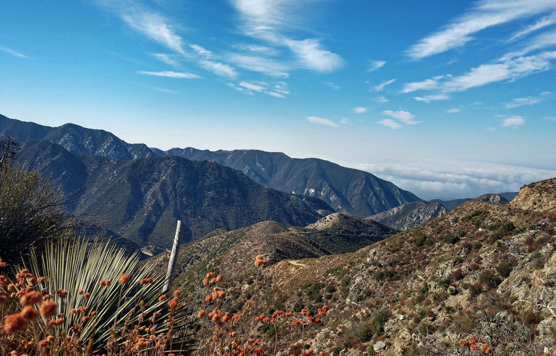 View from the top of Colby Canyon.