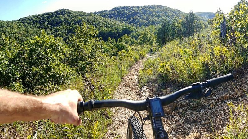 heading down the switchbacks on the purple trail.