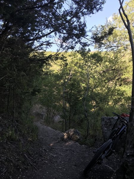 Downhill stretch with water bars; looking West