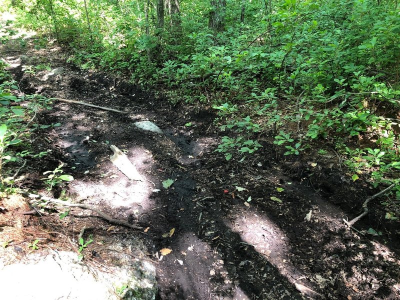 Muddy section on the North Loop—this is after at least two weeks of no rain. The deep ruts are past ATV damage.