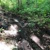 Muddy section on the North Loop—this is after at least two weeks of no rain. The deep ruts are past ATV damage.