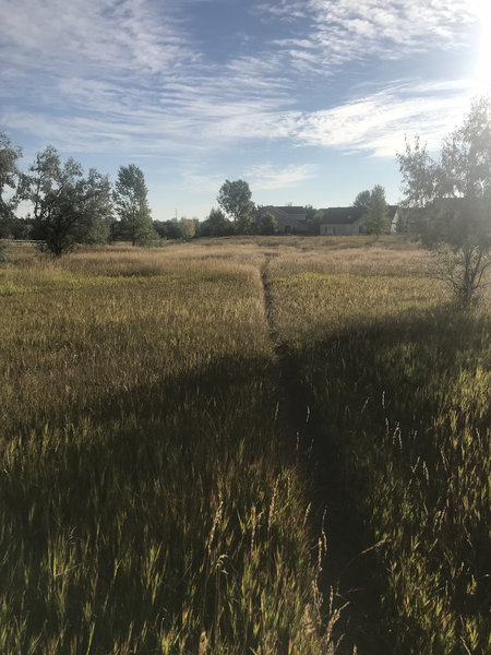 Avery Trail singletrack heading east.