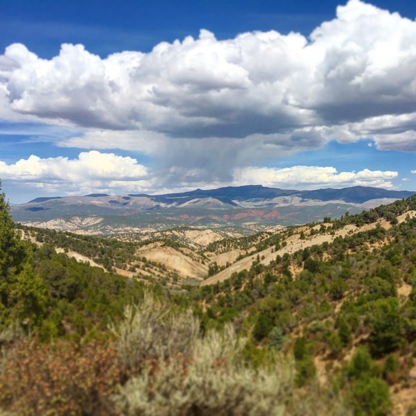 Looking South on the way up Tick Alley.