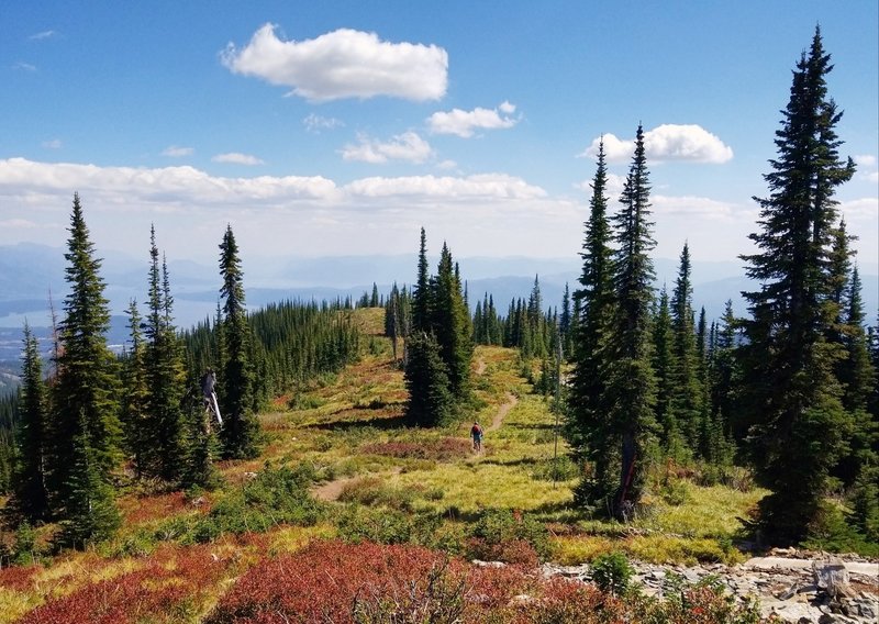 Descending Highpoint.