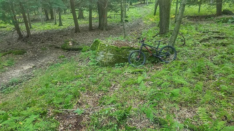 Fun rock drop at the beginning section of the descent to the river.