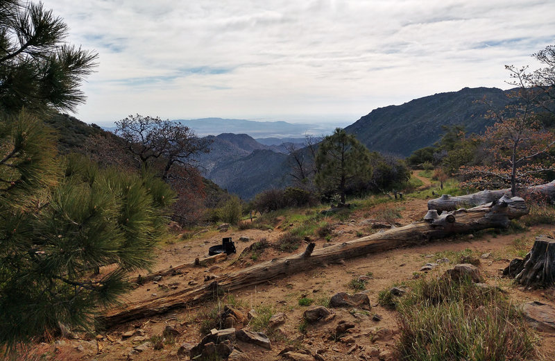 Desert View picnic area.