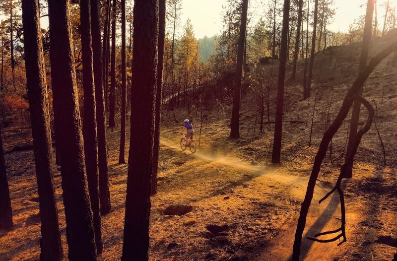 Riding down the new burn area at Beacon.