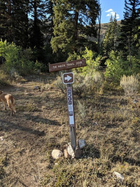 Lower Trailhead - less than a mile from the CG