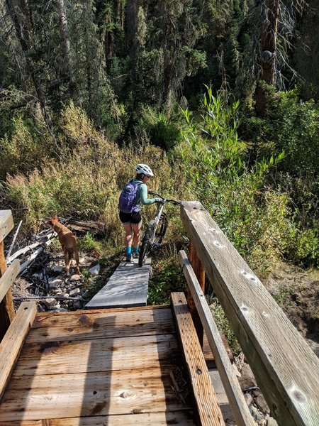 One of the intact bridges. I think she could have ridden it but....