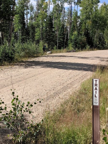 The upper trailhead is not easy to spot. Look for the little 'Trail' signs which are about 50m either side of the TH.