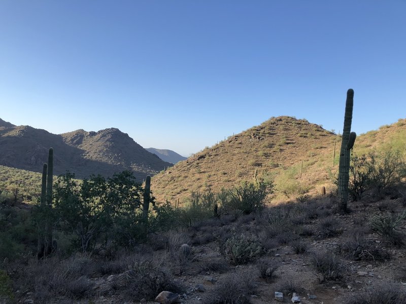 At Gateway Saddle looking south/southwest