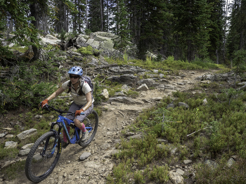 The Mountain View Trail alternates between fast downhills and punchy climbs